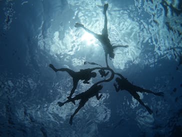 マーレ石垣島に投稿された画像（2025/8/10）