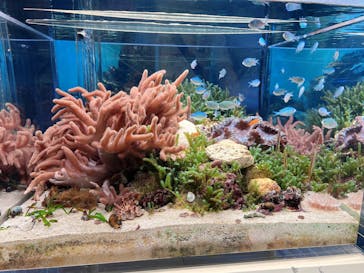 城崎マリンワールドに投稿された画像（2025/8/10）