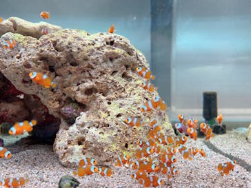 城崎マリンワールドに投稿された画像（2025/8/10）