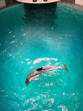 城崎マリンワールドに投稿された画像（2025/8/10）