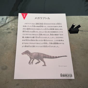 福井県立恐竜博物館に投稿された画像（2025/8/10）