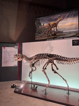 福井県立恐竜博物館に投稿された画像（2025/8/10）