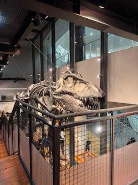 福井県立恐竜博物館に投稿された画像（2025/8/10）