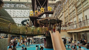 スパリゾートハワイアンズに投稿された画像（2025/8/10）