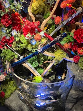 UWS AQUARIUM GA☆KYOに投稿された画像（2025/8/10）