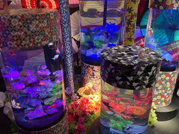 UWS AQUARIUM GA☆KYOに投稿された画像（2025/8/10）