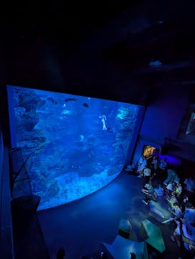 京都水族館に投稿された画像（2025/8/10）