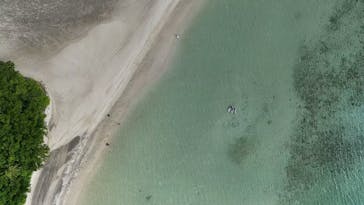 SHISHI石垣島（シシイシガキジマ）に投稿された画像（2025/8/10）