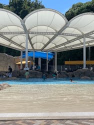 志摩市浜島磯体験施設 海ほおずきに投稿された画像（2025/8/10）