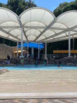 志摩市浜島磯体験施設 海ほおずきに投稿された画像（2025/8/10）