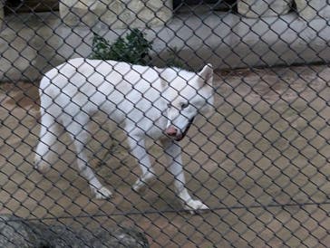 名古屋市東山動植物園に投稿された画像（2025/8/11）