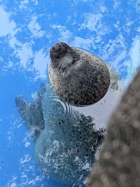 名古屋市東山動植物園に投稿された画像（2025/8/11）