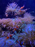 仙台うみの杜水族館に投稿された画像（2025/8/11）