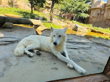 那須どうぶつ王国に投稿された画像（2025/8/11）