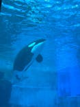 名古屋港水族館に投稿された画像（2025/8/11）