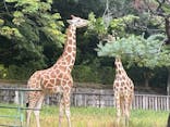 名古屋市東山動植物園に投稿された画像（2025/8/11）