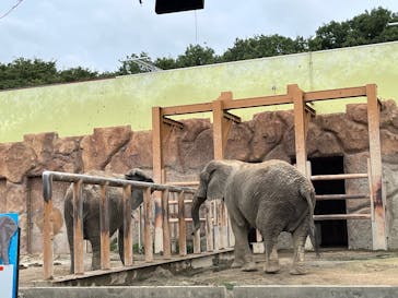 東武動物公園に投稿された画像（2025/8/11）