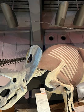 巨大恐竜展2025に投稿された画像（2025/8/11）