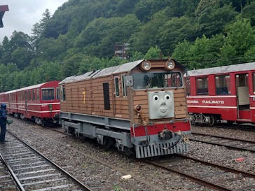 大井川鐵道株式会社に投稿された画像（2025/8/11）