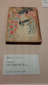 大正イマジュリィの世界（SOMPO美術館）に投稿された画像（2025/8/11）