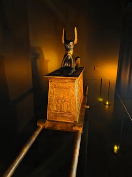 MYSTERY OF TUTANKHAMEN 体感型古代エジプト展に投稿された画像（2025/8/11）