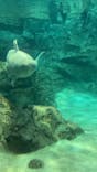 名古屋港水族館に投稿された画像（2025/8/11）