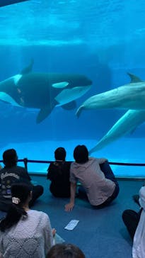 名古屋港水族館に投稿された画像（2025/8/11）
