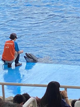 名古屋港水族館に投稿された画像（2025/8/11）