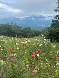 野尻湖テラスに投稿された画像（2025/8/11）