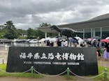 福井県立恐竜博物館に投稿された画像（2025/8/11）