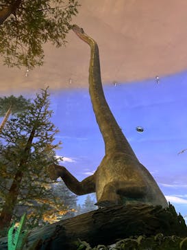 福井県立恐竜博物館に投稿された画像（2025/8/11）