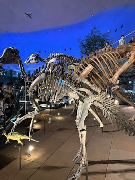 福井県立恐竜博物館に投稿された画像（2025/8/11）