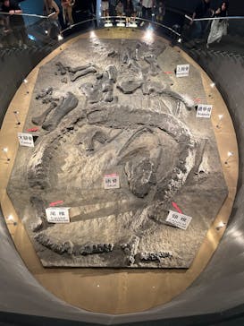 福井県立恐竜博物館に投稿された画像（2025/8/11）