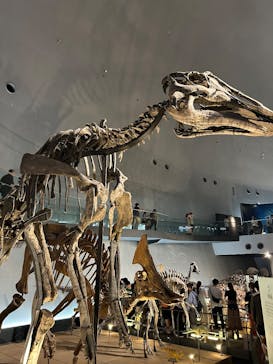 福井県立恐竜博物館に投稿された画像（2025/8/11）