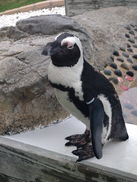 マリンワールド海の中道に投稿された画像（2025/8/11）
