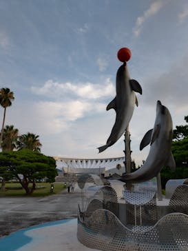 マリンワールド海の中道に投稿された画像（2025/8/11）