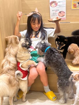 いぬカフェRio 秋葉原店に投稿された画像（2025/8/11）