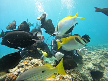 武藤潜水に投稿された画像（2025/8/11）