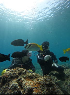 武藤潜水に投稿された画像（2025/8/11）