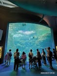 新江ノ島水族館に投稿された画像（2025/8/11）