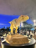 福井県立恐竜博物館に投稿された画像（2025/8/11）