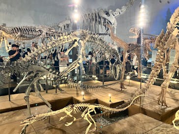 福井県立恐竜博物館に投稿された画像（2025/8/11）