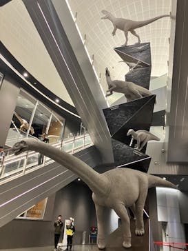 福井県立恐竜博物館に投稿された画像（2025/8/11）