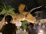 京都 大恐竜博 ～動く！吠える！暴れる！大迫力の巨大恐竜がやってくる～に投稿された画像（2025/8/11）
