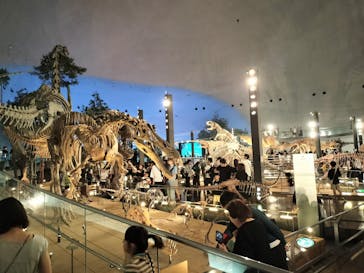 福井県立恐竜博物館に投稿された画像（2025/8/11）