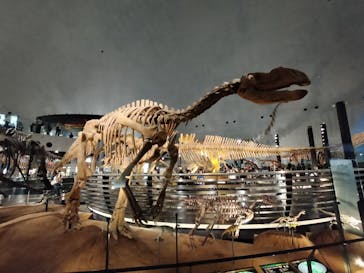 福井県立恐竜博物館に投稿された画像（2025/8/11）