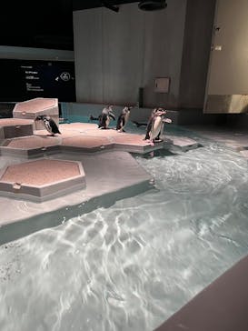 AOAO SAPPOROに投稿された画像（2025/8/11）