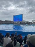 名古屋港水族館に投稿された画像（2025/8/11）
