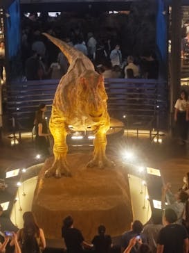 福井県立恐竜博物館に投稿された画像（2025/8/11）