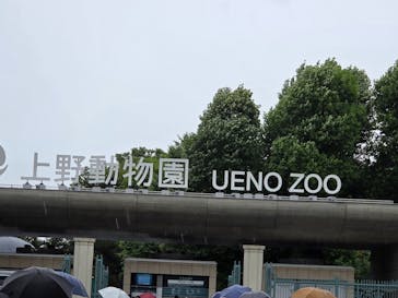 恩賜上野動物園に投稿された画像（2025/8/11）